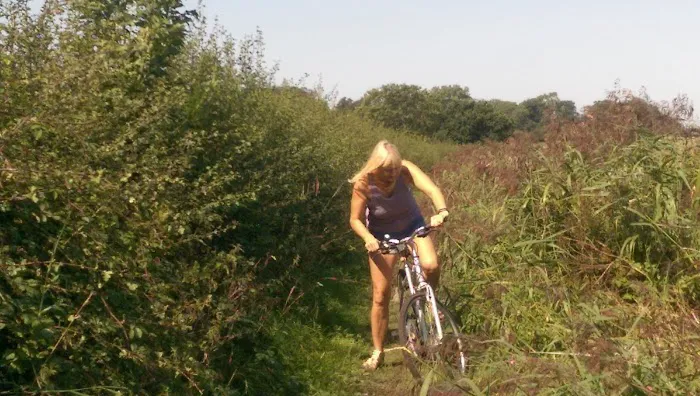 Helmes Pet Supplies Picture 1