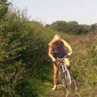 Helmes Pet Supplies ico