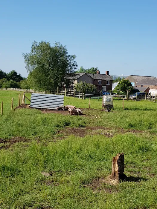 Helmes Pet Supplies Picture 3