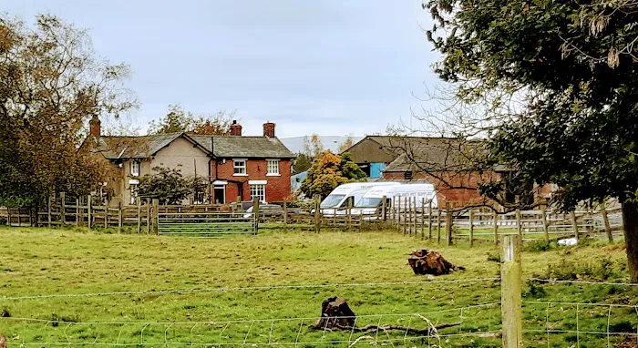 Helmes Pet Supplies Picture 6