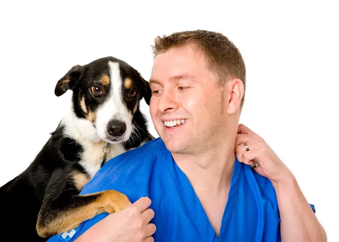 White Cross Vets Picture 2