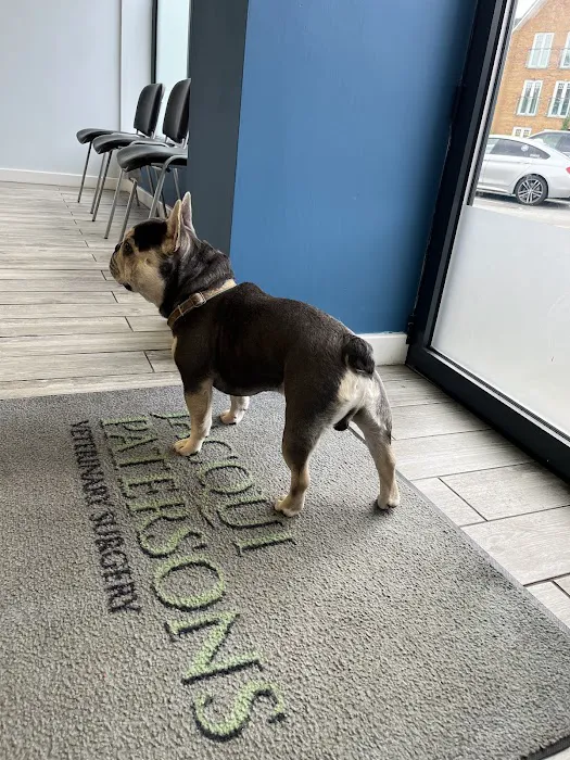 Jacqui Paterson's Veterinary Surgery Picture 2