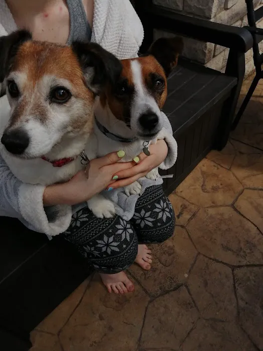 Jacqui Paterson's Veterinary Surgery Picture 8