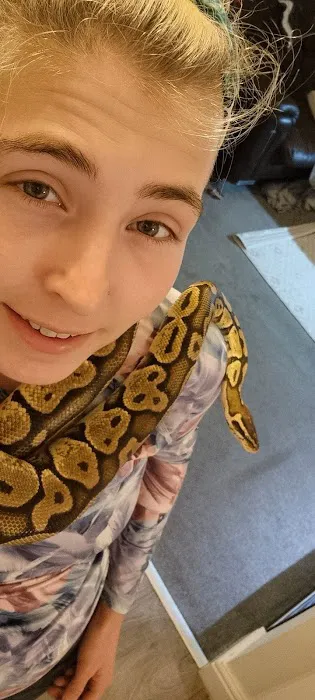 Jacqui Paterson's Veterinary Surgery Picture 4
