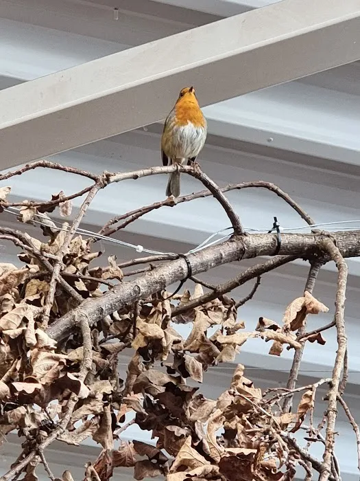 Maidenhead Aquatics Stokesley Picture 7