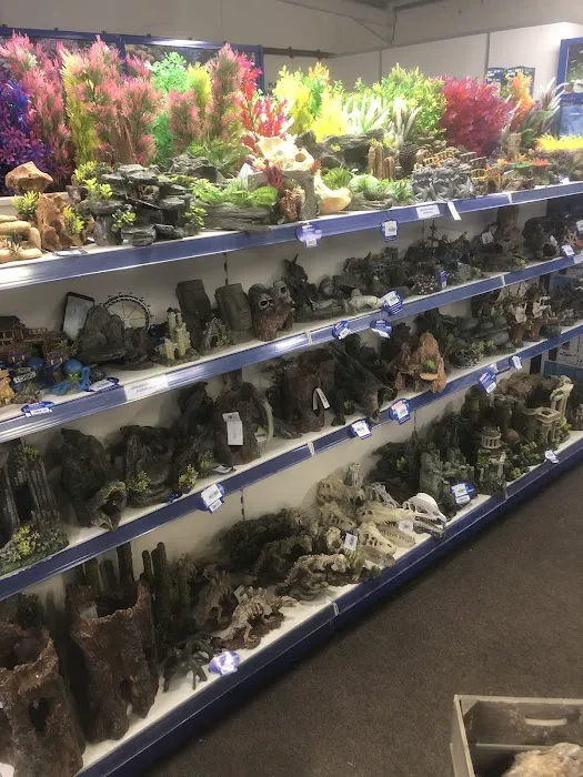 Maidenhead Aquatics Stokesley Picture 9