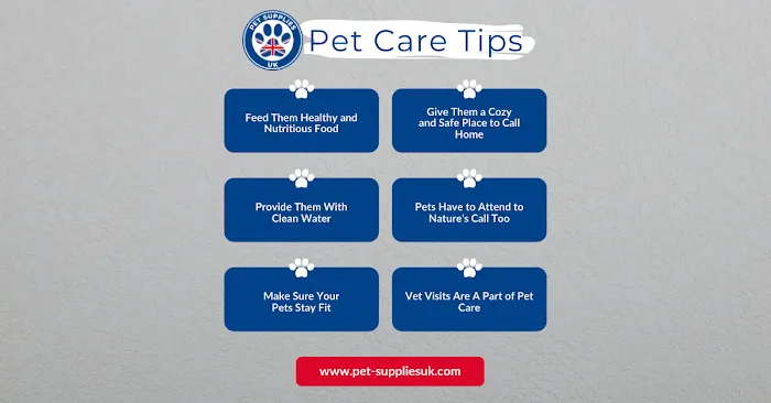 Pet-SuppliesUK Picture 10