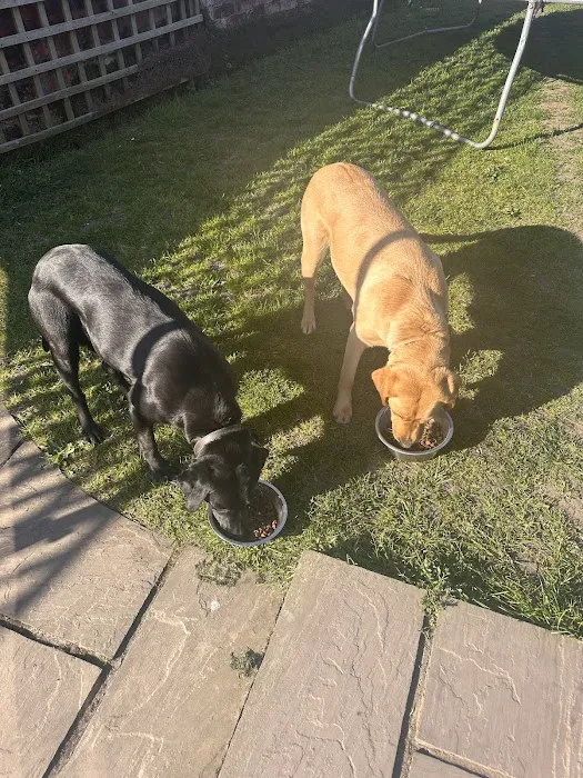 Mav & Annie’s Pet Store Picture 3