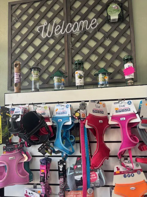 Mav & Annie’s Pet Store Picture 10