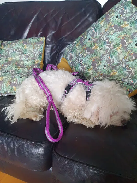 Palace Pets Picture 5