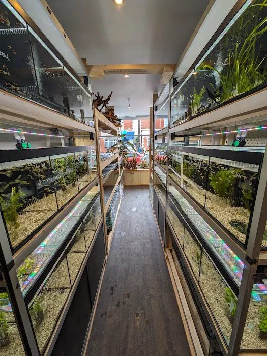 Element Aquatics Picture 4