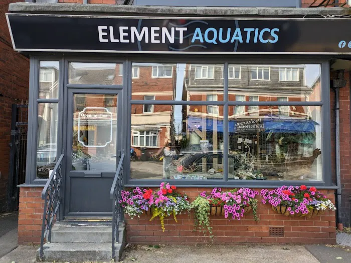 Element Aquatics Picture 7