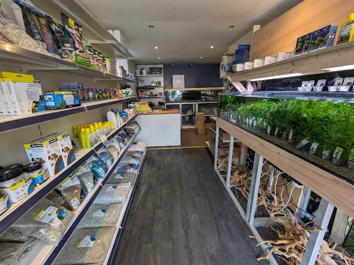 Element Aquatics Picture 6