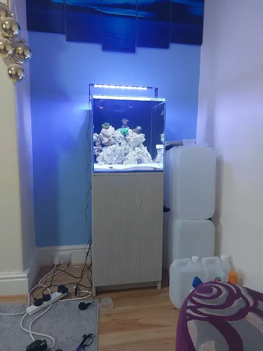 Element Aquatics Picture 2