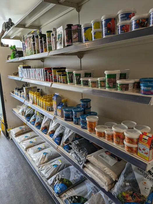 Element Aquatics Picture 10