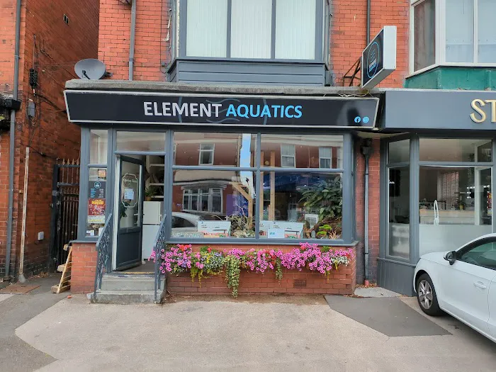 Element Aquatics Picture 9
