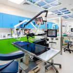 Vet Dentist