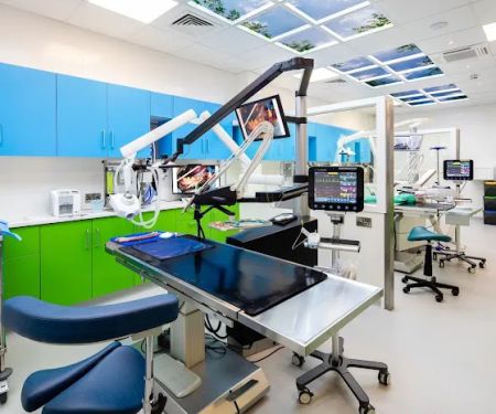 Vet Dentist