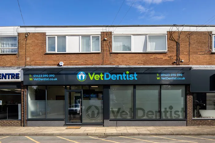 Vet Dentist Picture 2