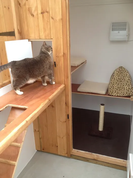 A Cat's Tale Cattery Picture 8