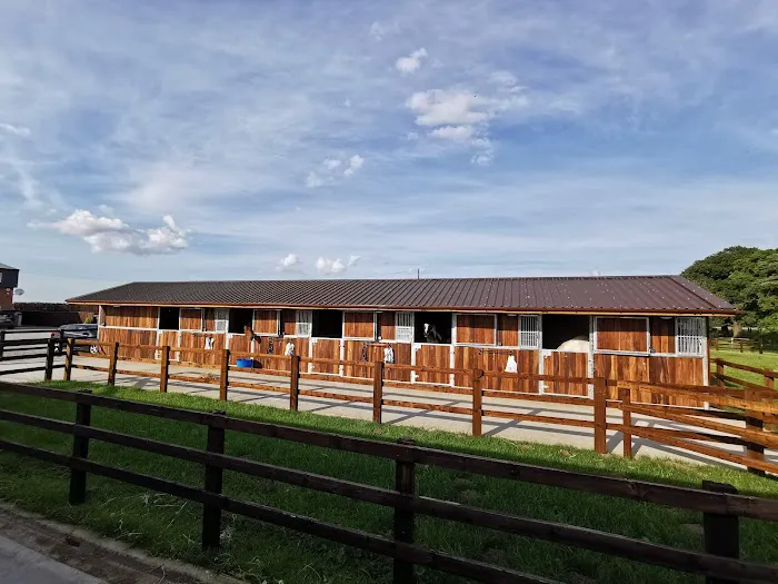 Hambleton Equine Clinic Picture 9