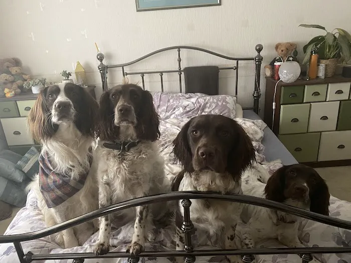 Stokesley Veterinary Practice Picture 4