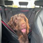 Clevedale Veterinary Practice, Stokesley