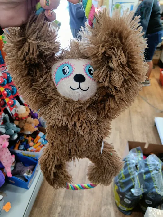 Pets Unleashed Picture 7