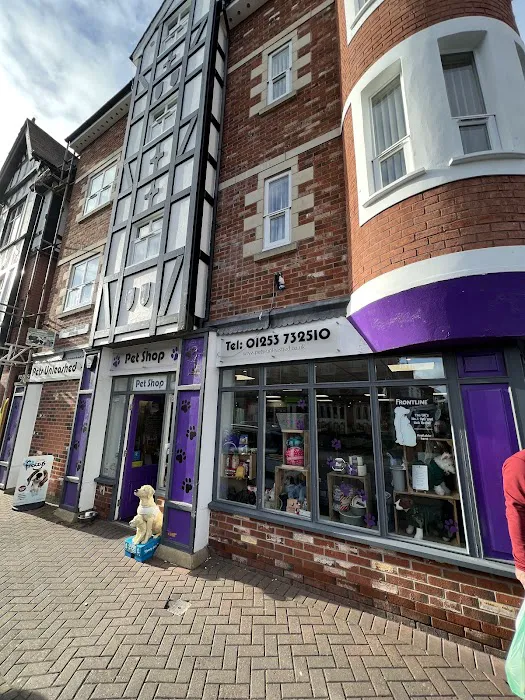 Pets Unleashed Picture 4