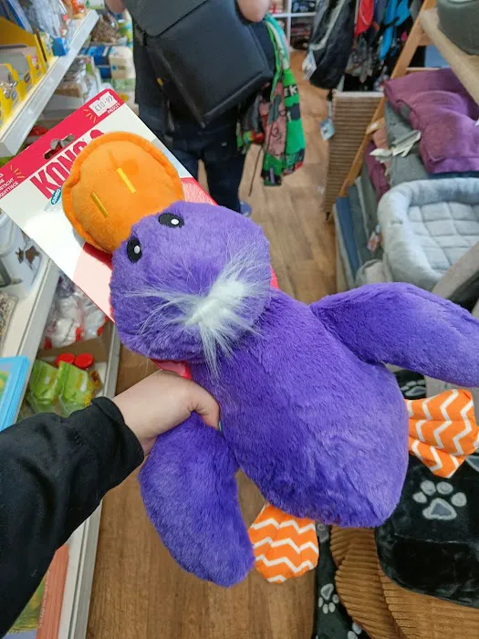 Pets Unleashed Picture 9