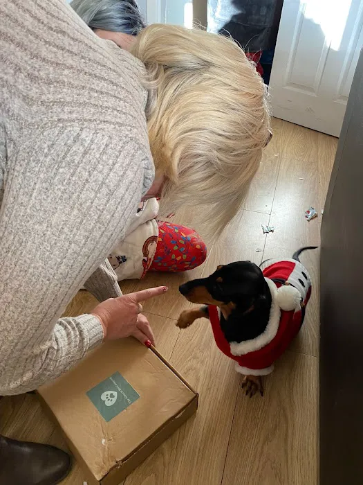 The Natural Pet Company Picture 8