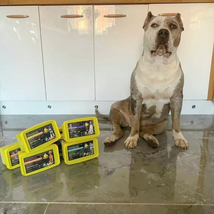 The Natural Pet Company Picture 9