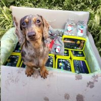 The Natural Pet Company ico