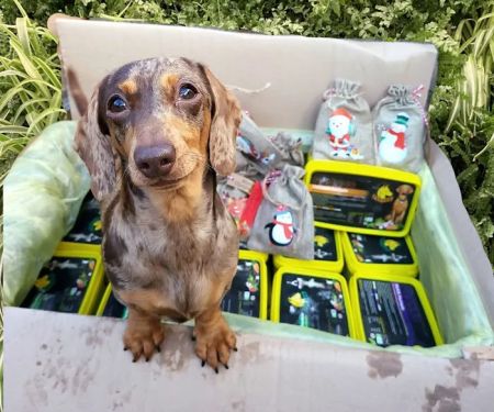 The Natural Pet Company