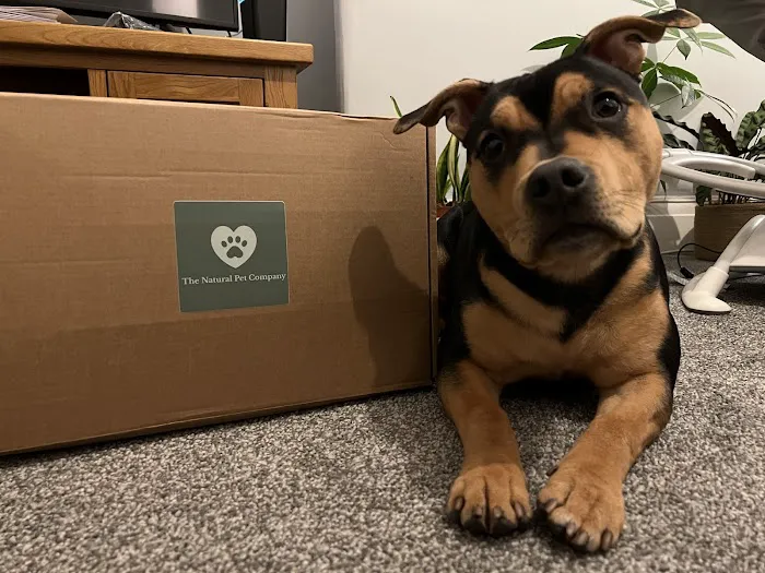 The Natural Pet Company Picture 5