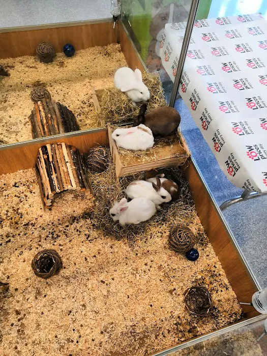 Pets at Home Preston Picture 3