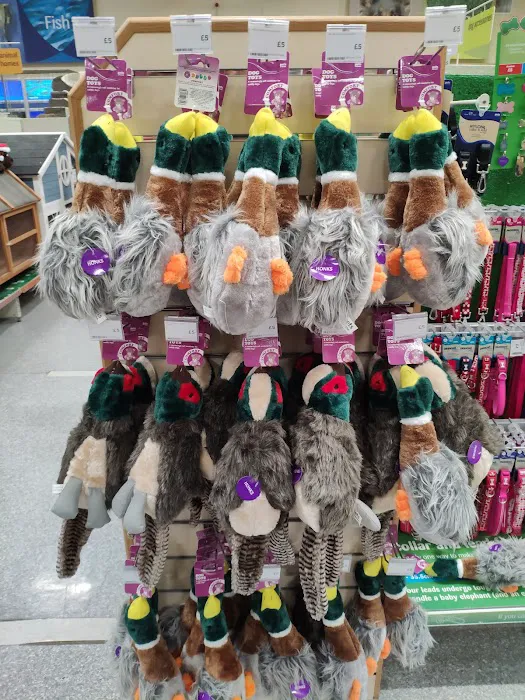 Pets at Home Preston Picture 2