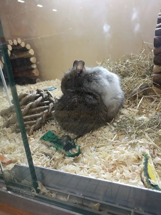 Pets at Home Preston Picture 4