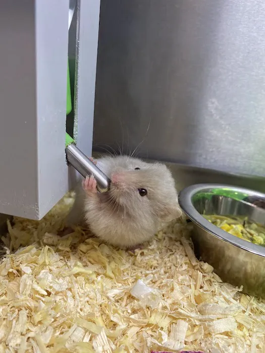 Pets at Home Preston Picture 10