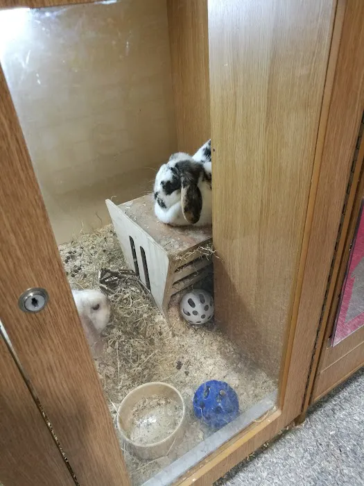 Pets at Home Preston Picture 6