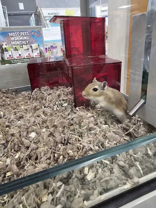 Pets at Home Preston Picture 7