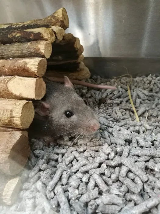 Pets at Home Preston Picture 9