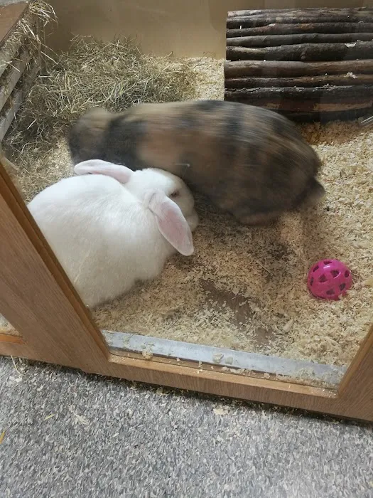 Pets at Home Preston Picture 5