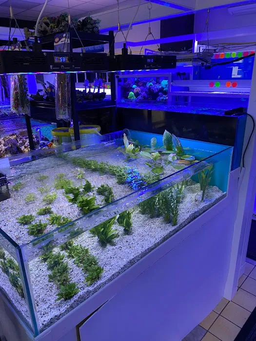 Tanked Up Marines Picture 1