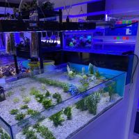 Tanked Up Marines ico