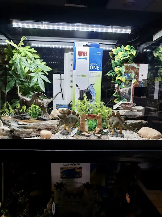 Tanked Up Marines Picture 5