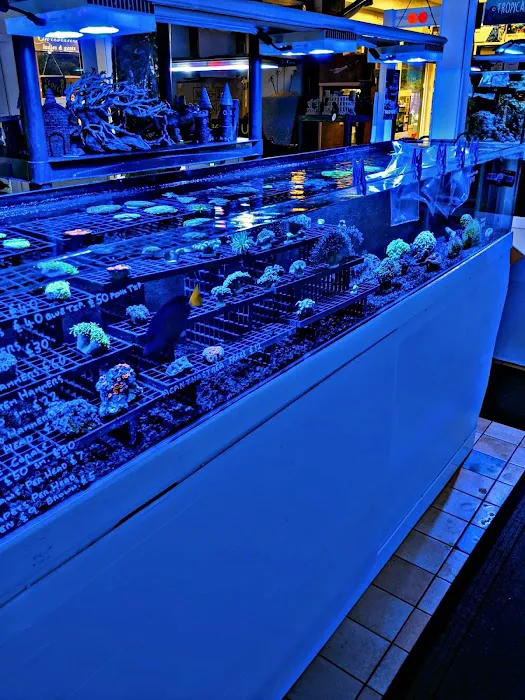 Tanked Up Marines Picture 8