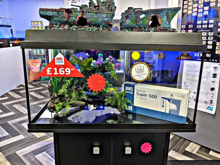 Tanked Up Marines Picture 7