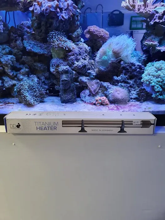 Tanked Up Marines Picture 3