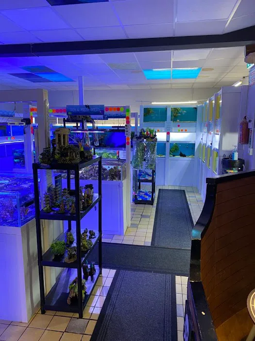 Tanked Up Marines Picture 4